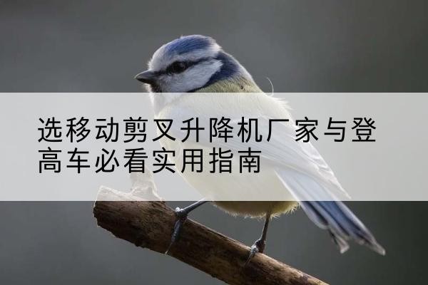 五寨电动升降机厂家-选移动剪叉升降机厂家与登高车必看实用指南