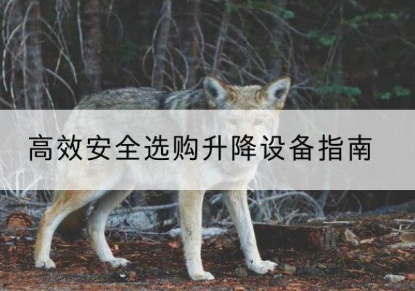 五寨升降货梯厂家推荐-*安全选购升降设备指南